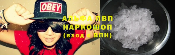 стаф Алексин
