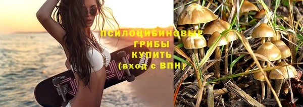 соль ск Алзамай